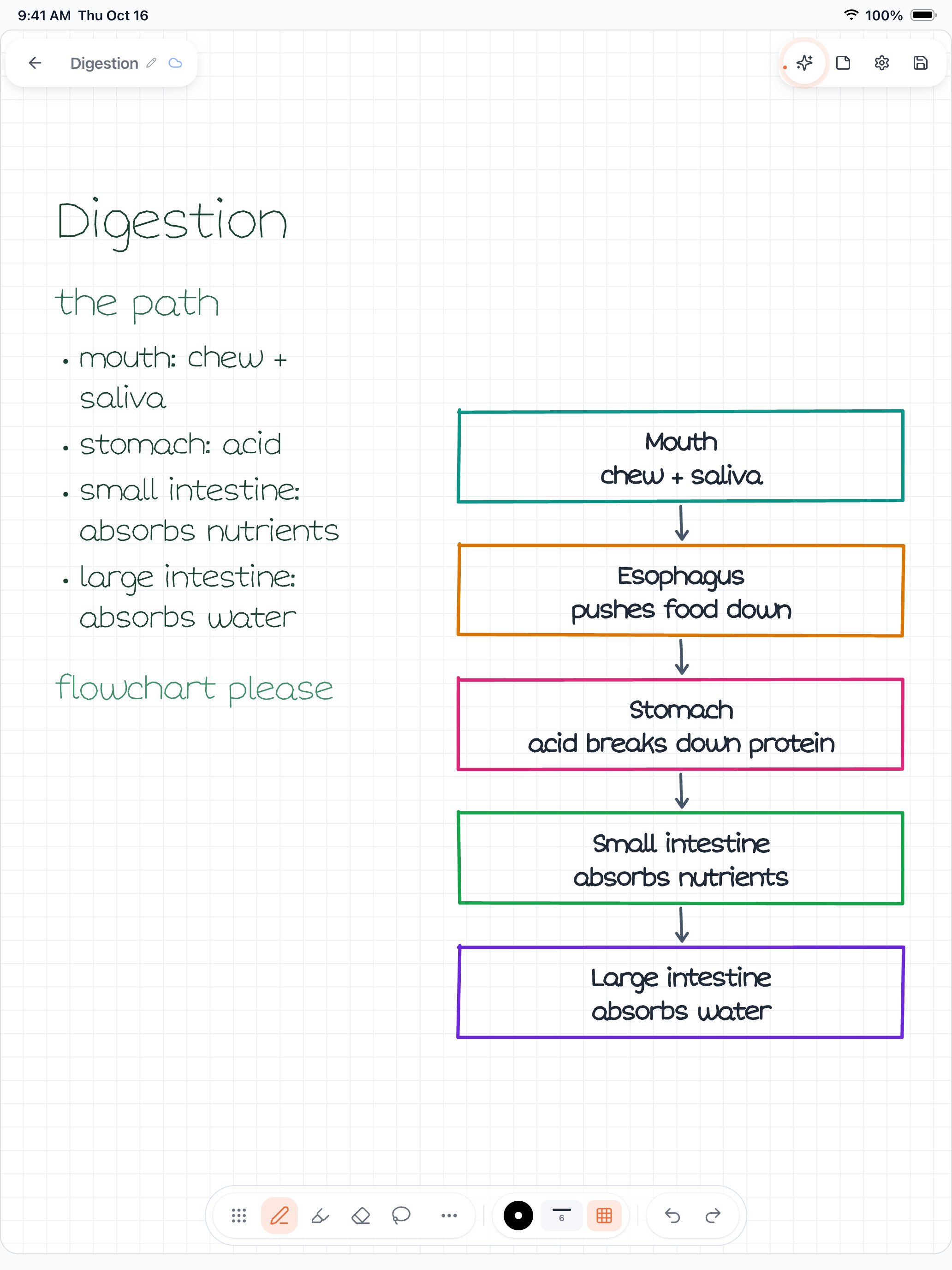 A Wren iPad page with handwritten digestion notes on the left and a five-step flowchart from mouth to large intestine drawn in Wren's ink on the right