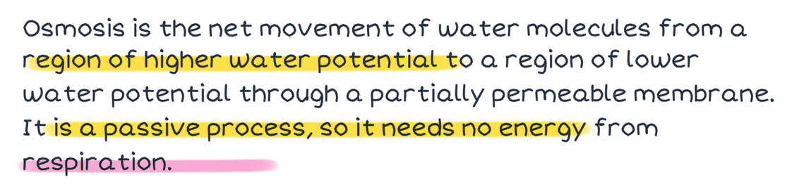 A highlighted line on a handwritten page